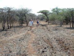 09-The bush at Nisala Safaries